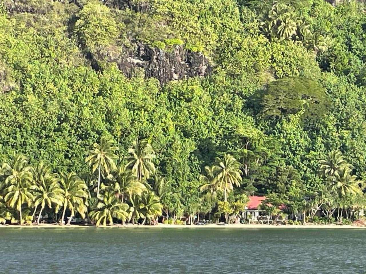 Te Fitii Garden & Beach 파레 외부 사진